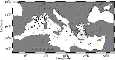 Sensitive Determination of the Dissolved Phosphate Pool for an Improved Resolution of Its Vertical Variability in the Surface Layer: New Views in the P-Depleted Mediterranean Sea